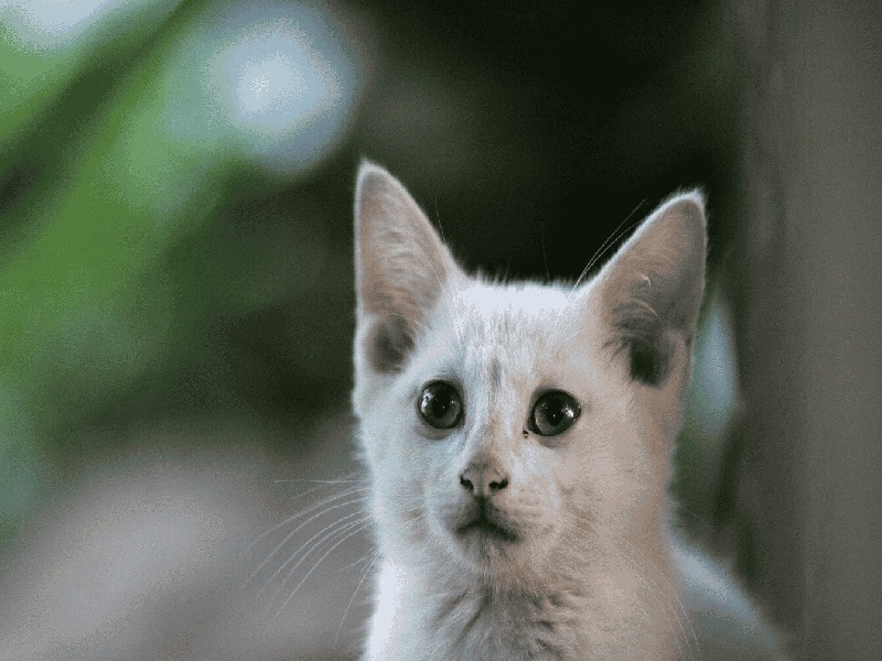 南昌做试管价格，盛京试管实验室