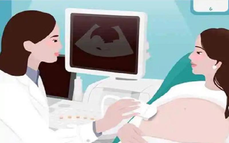 试管菌种的保存代生