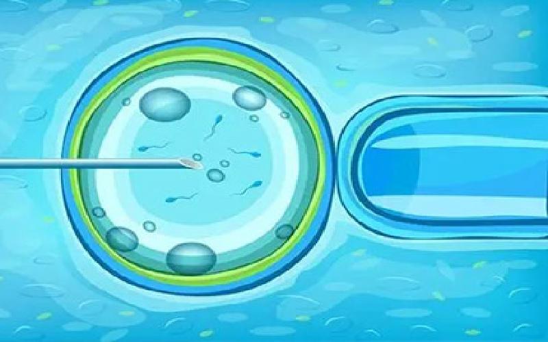 卵巢早衰的费用多少代生